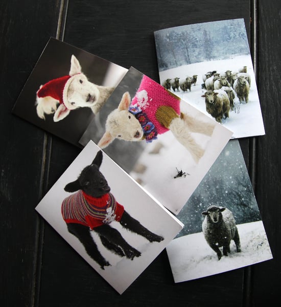 Image of Notecards Assorted (10 Total) - 2 Each Design - FREE SHIPPING