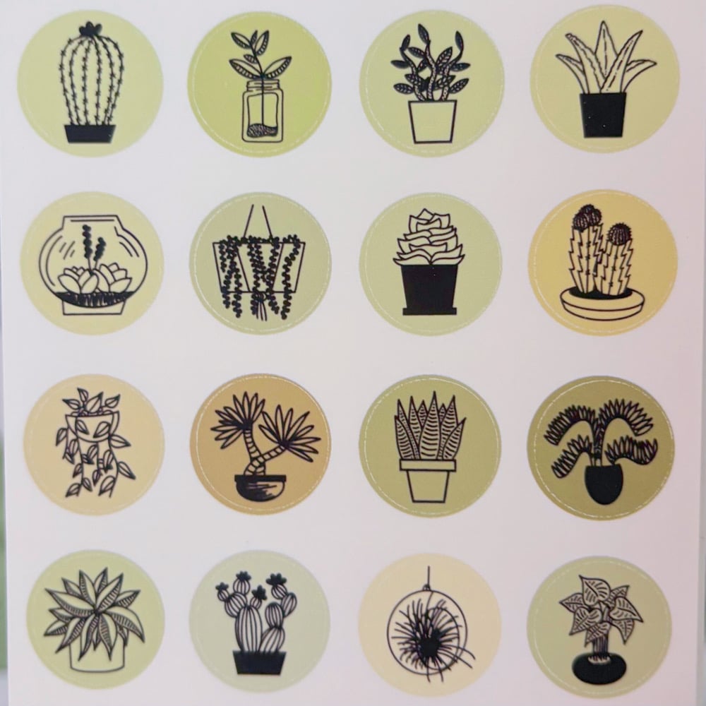 Image of plant parent