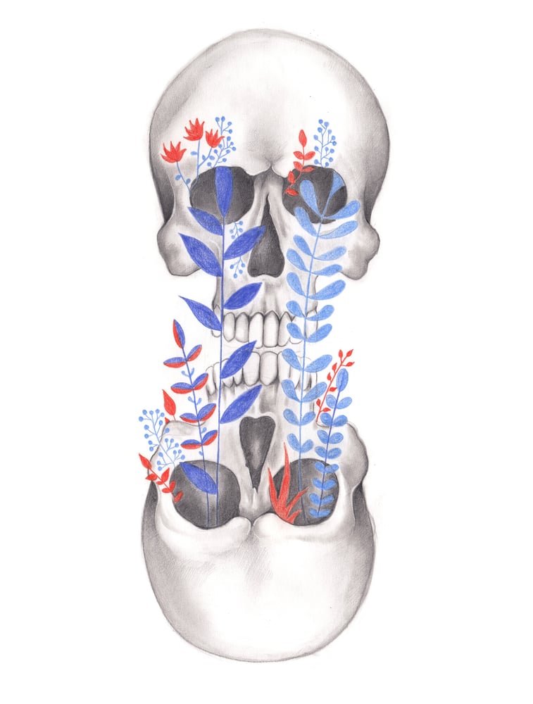 Image of Tensión Original