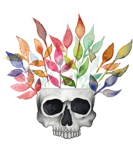 Image of Sueños