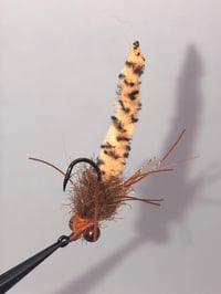 Image 5 of Carp Duster