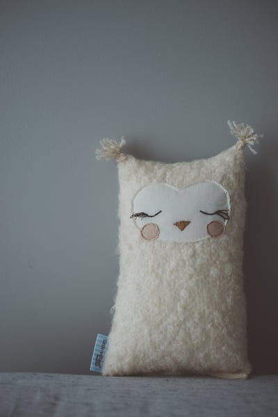 Image of Petite Boucle Owl