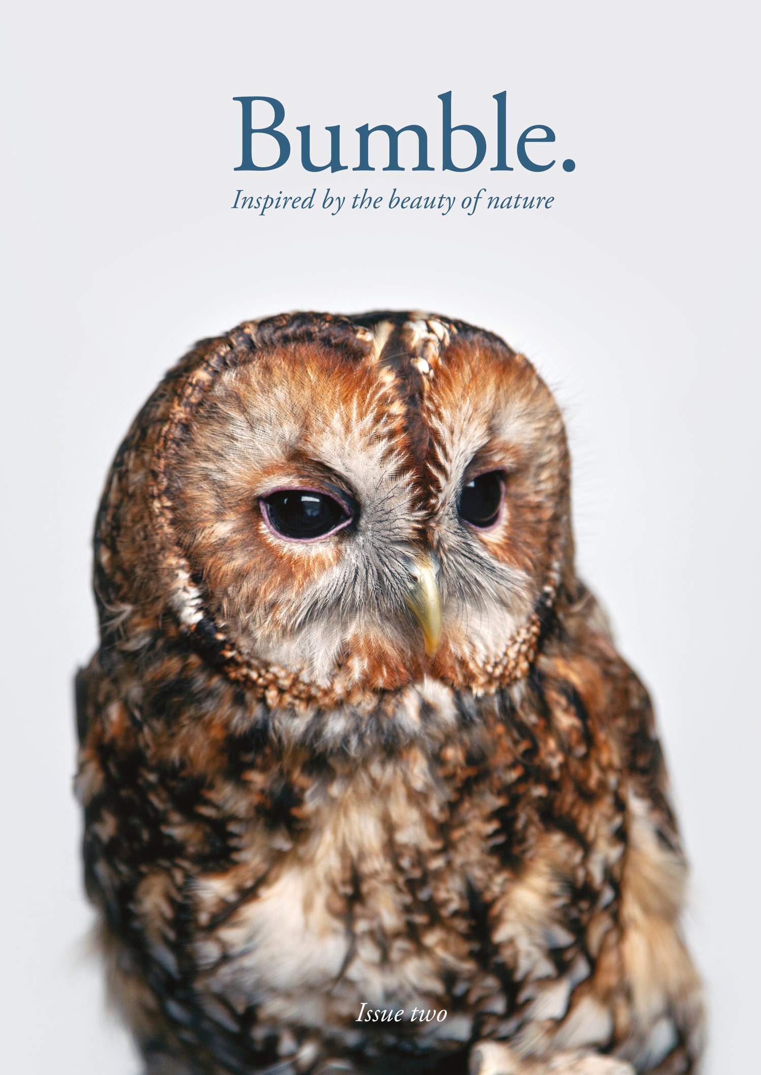 Image of Bumble Issue Two