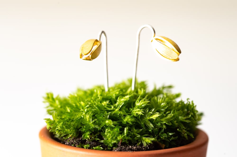 Image of Violet bud stem earrings