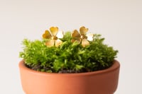 Primrose earrings