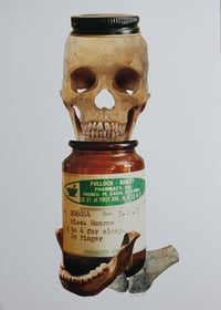 Image 2 of Marilyn's Remains Trypitch 