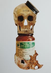 Image 3 of Marilyn's Remains Trypitch 