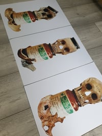 Image 5 of Marilyn's Remains Trypitch 