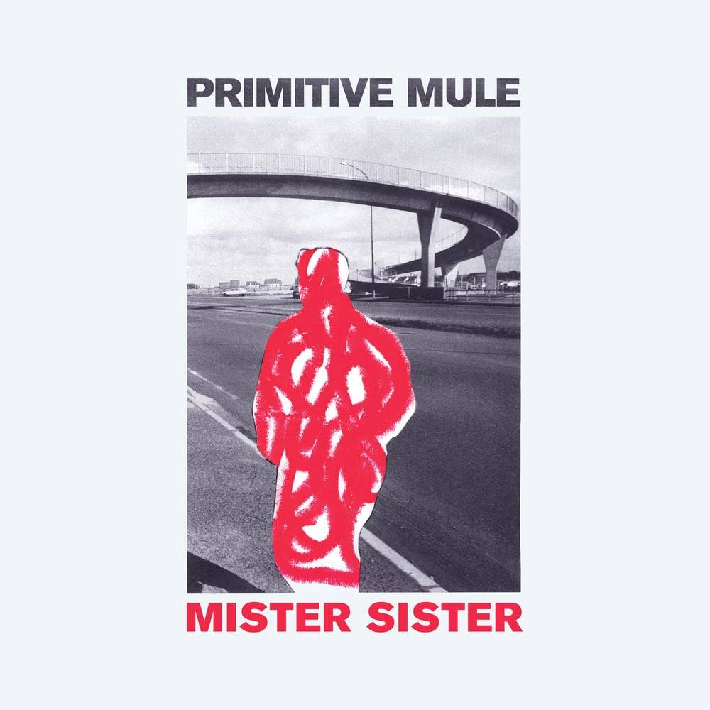 Image of PRIMITIVE MULE - MISTER SISTER