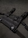 4-Point Flat Chest Rig + Harness