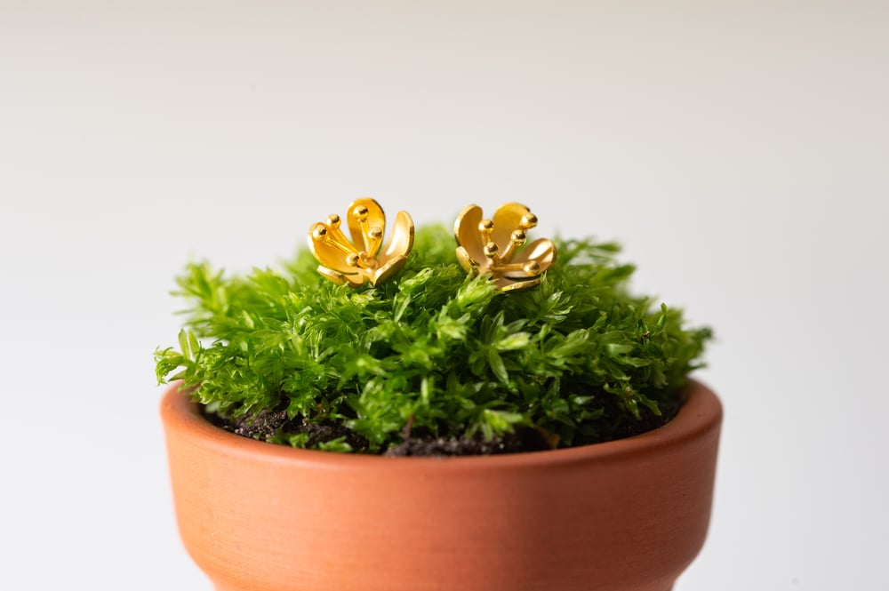 Image of Buttercup earrings