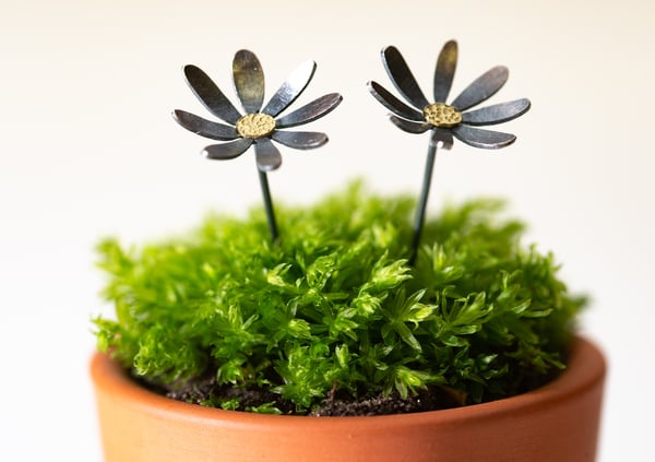 Image of Daisy stem earrings