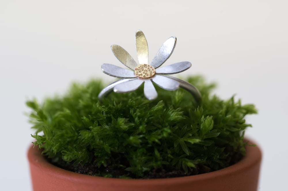 Image of Daisy ring