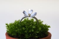 Image 1 of Primrose ring