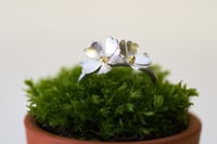 Primrose ring two flower