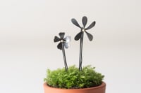 Violet flower or primrose hair slide