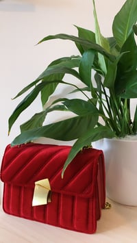 Image 2 of Velvet Eve Bags