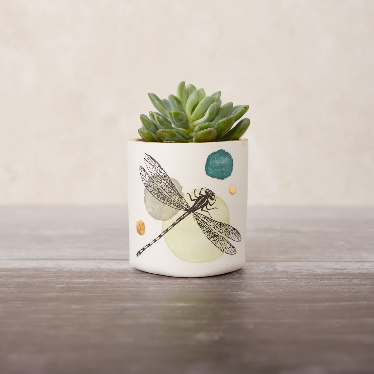 Large porcelain dragonfly print planter