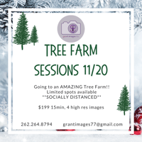 Tree Farm Mini Sessions 11/20/2020