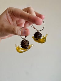 Image 1 of 🌲🐌Pinecone Snails🐌🌲