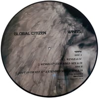 Image 3 of Global Citizen - WINGS 12" Picture Disc