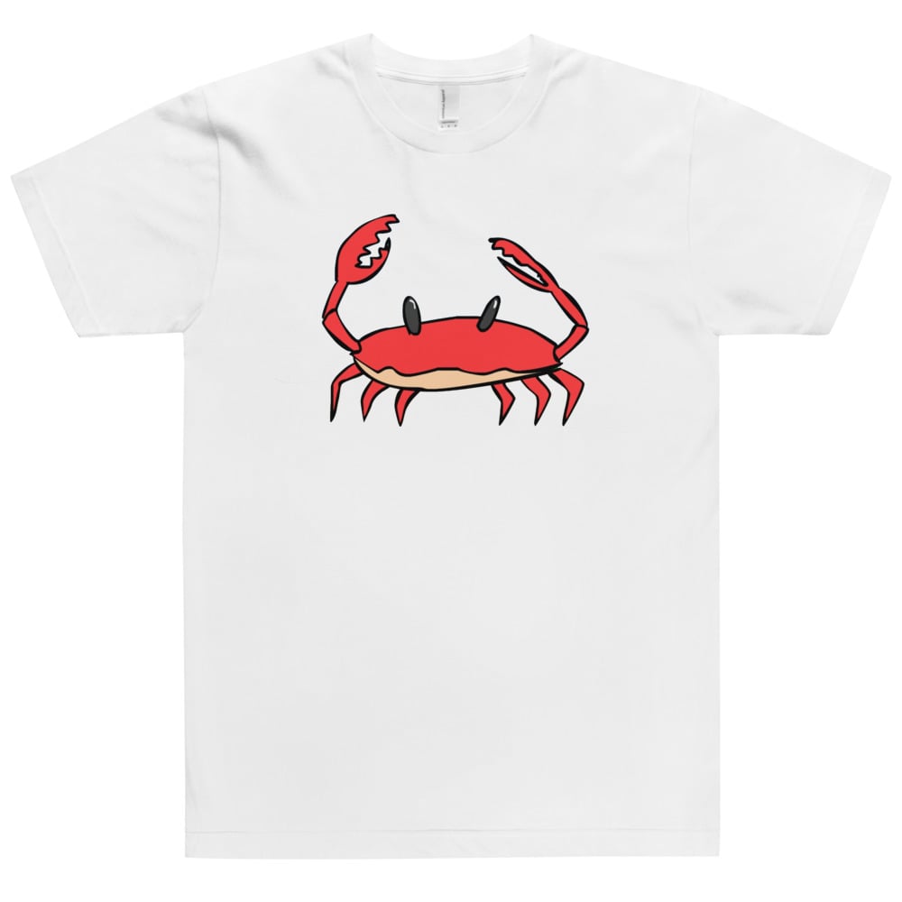 seasalt tee shirts