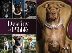 Image of Destiny the Pibble 2021 calendar