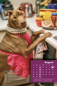 Image of Destiny the Pibble 2021 calendar