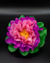 Dalia - Ninfea