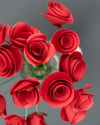 Rose a girandola