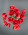 Rose a girandola