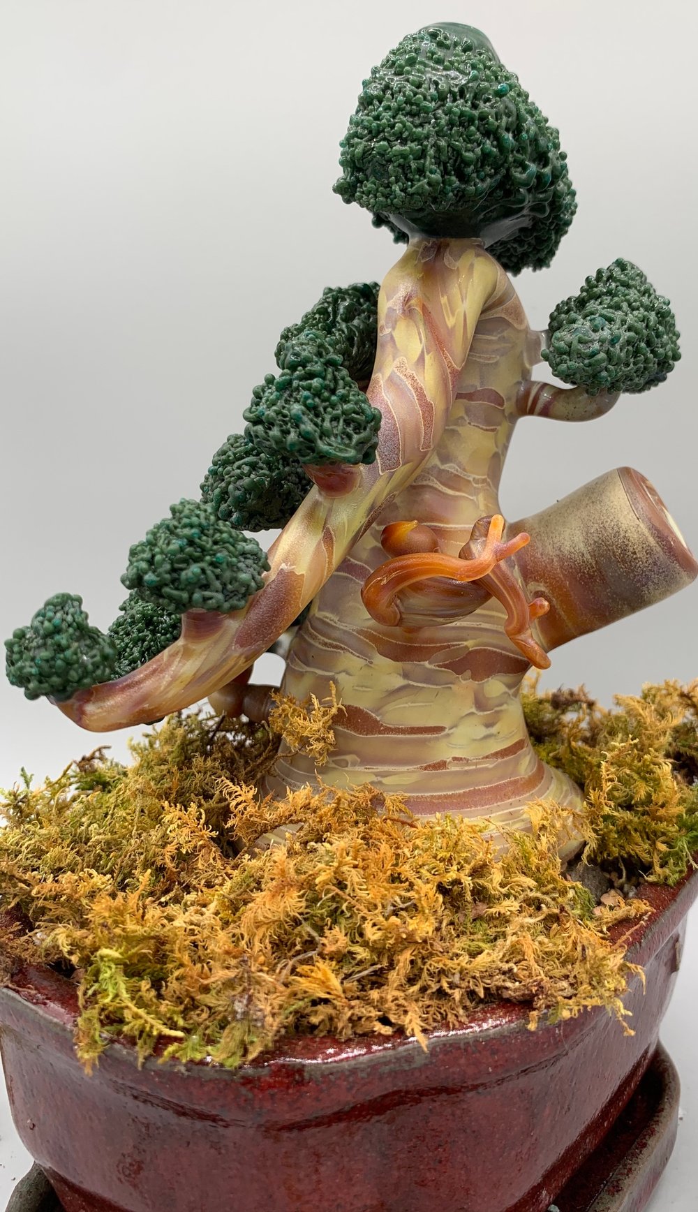 Bonsai #13 