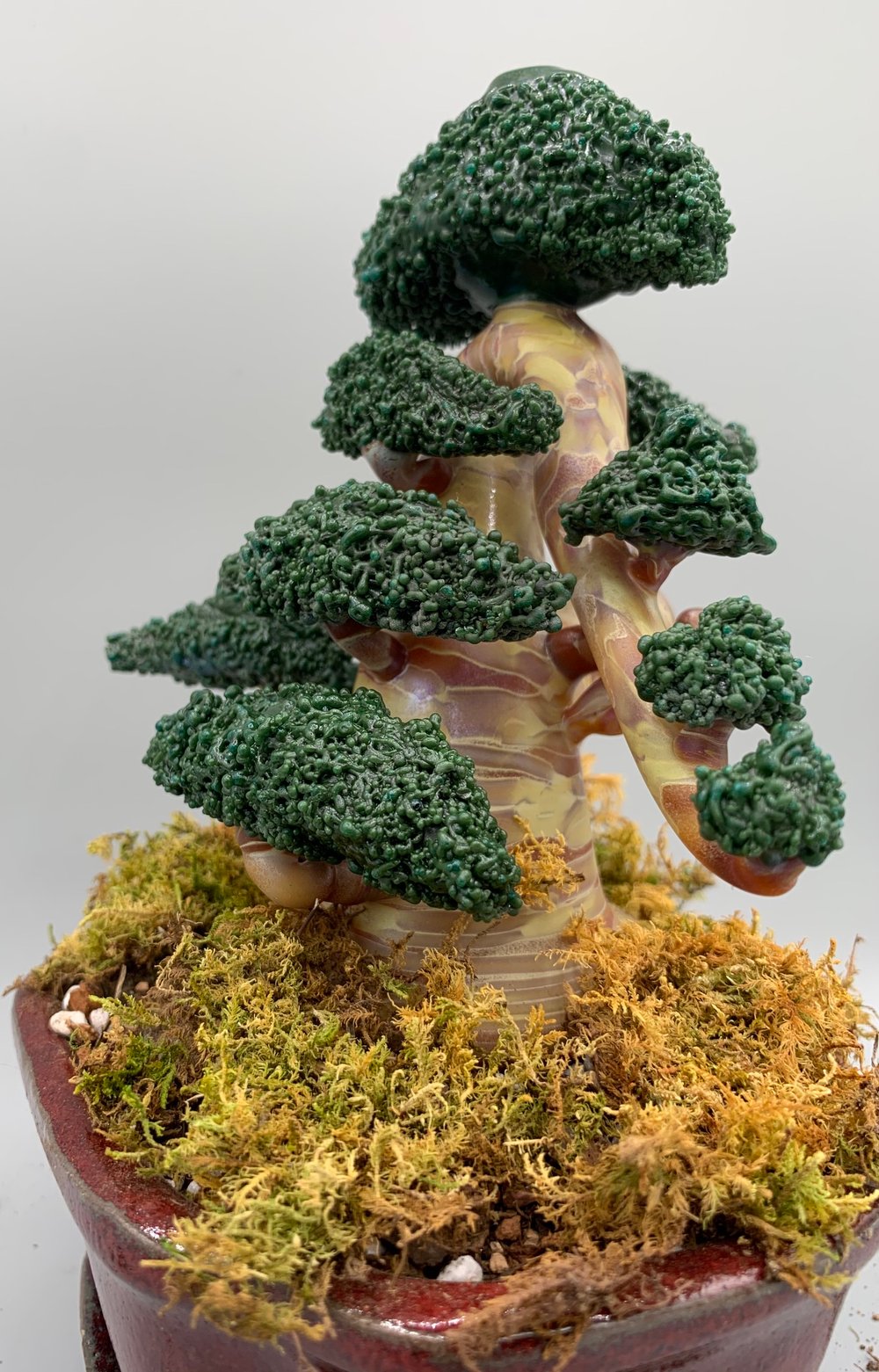 Bonsai #13 