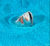 Cowrie Ring (925 Sterling Silver)