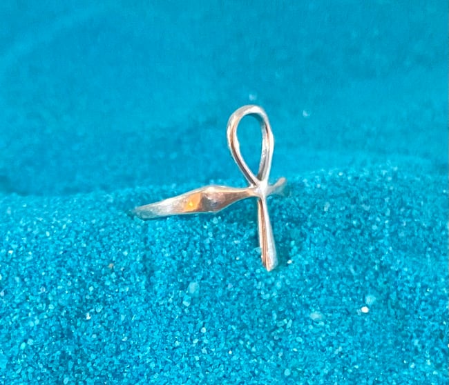 Eternal Life Ring (925 Sterling Silver)