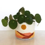 Desert Plant Pot 