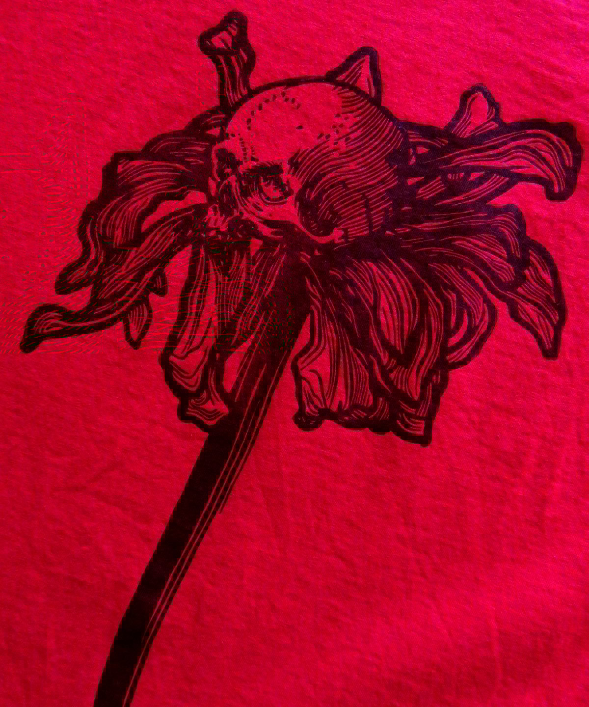 Image of fleur du mal XT