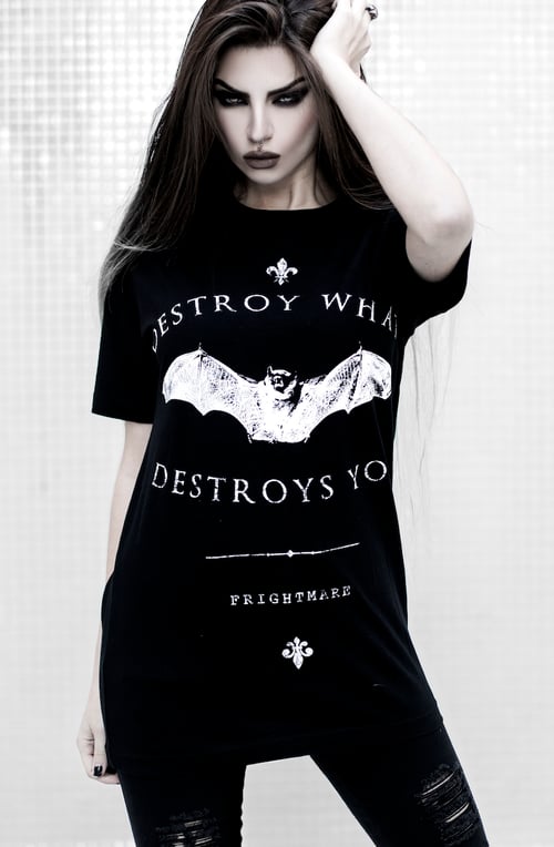 Image of DESTROY WHAT DESTROYS YOU †