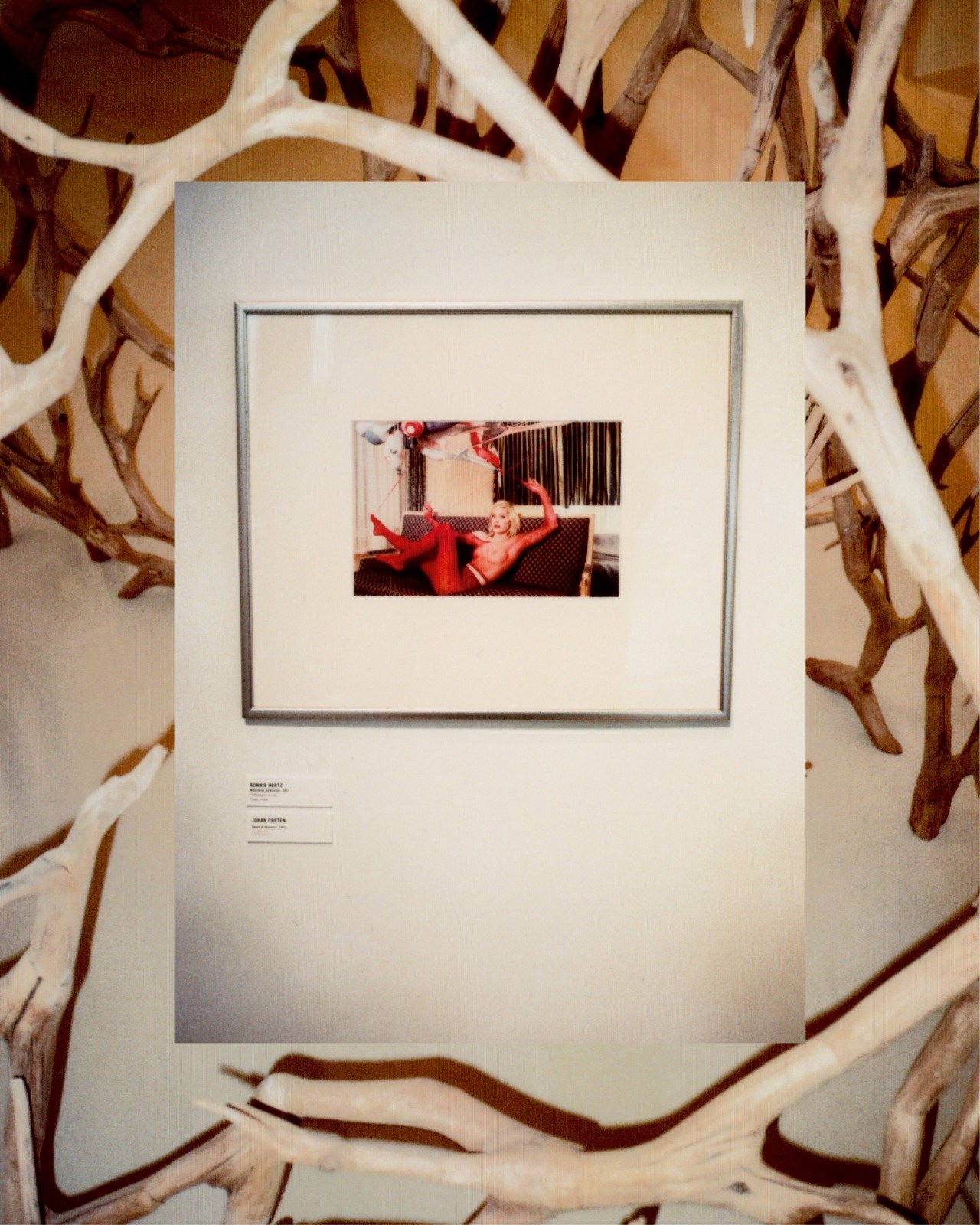 Image of EXIT ARCHIVE ISSUE X AGNES B  ***HARD BACK COVER***