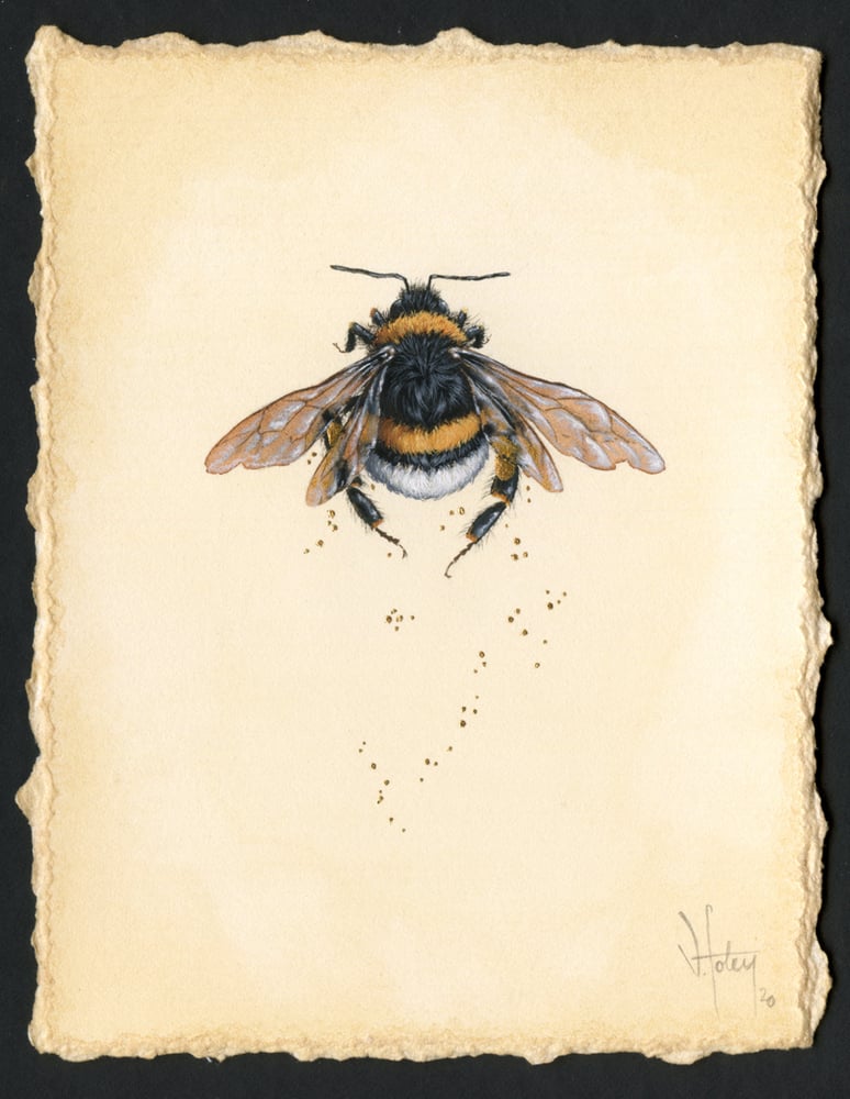 Image of Pollen 2 (November 2020)