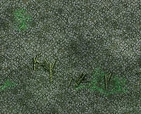 Image 3 of City of the Damned #990 -- 6'x4' plus