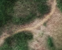 Image 2 of Vietnam Trails --  #1000  -- 6'x'4 plus 