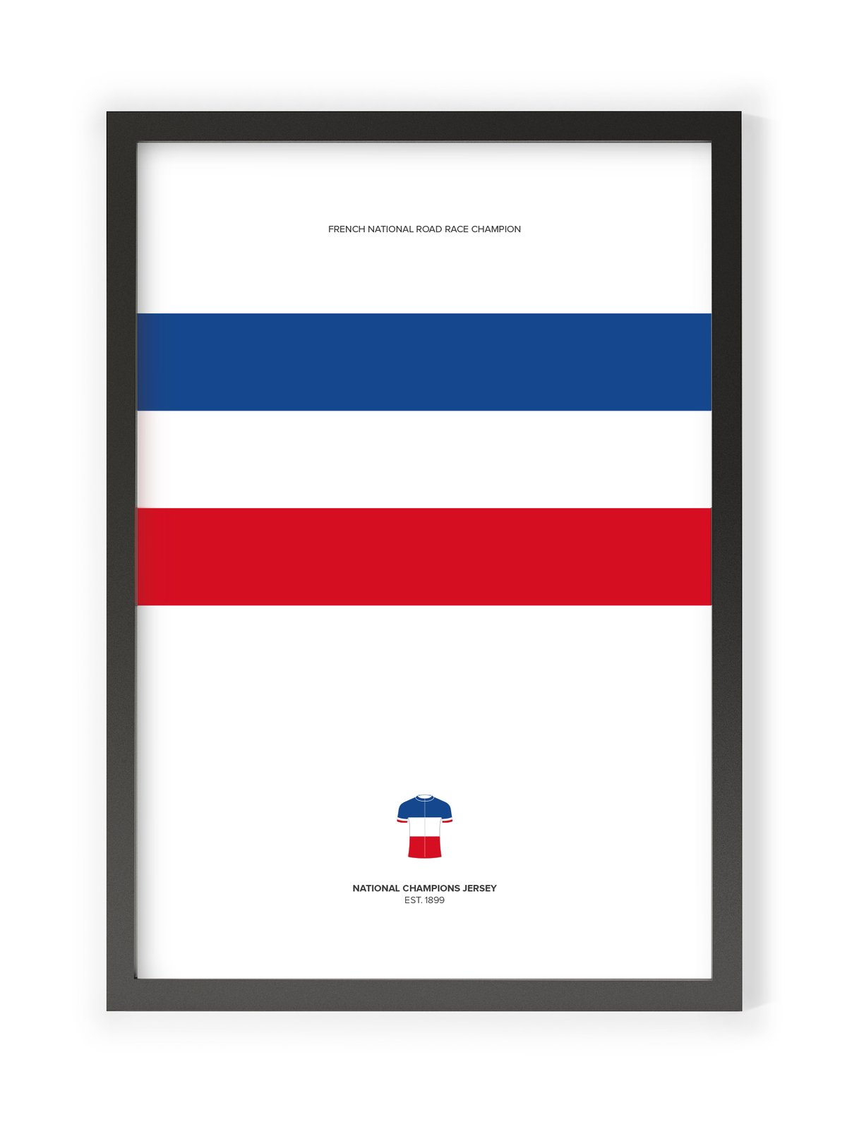Image of THE FRENCH TRICOLOR JERSEY