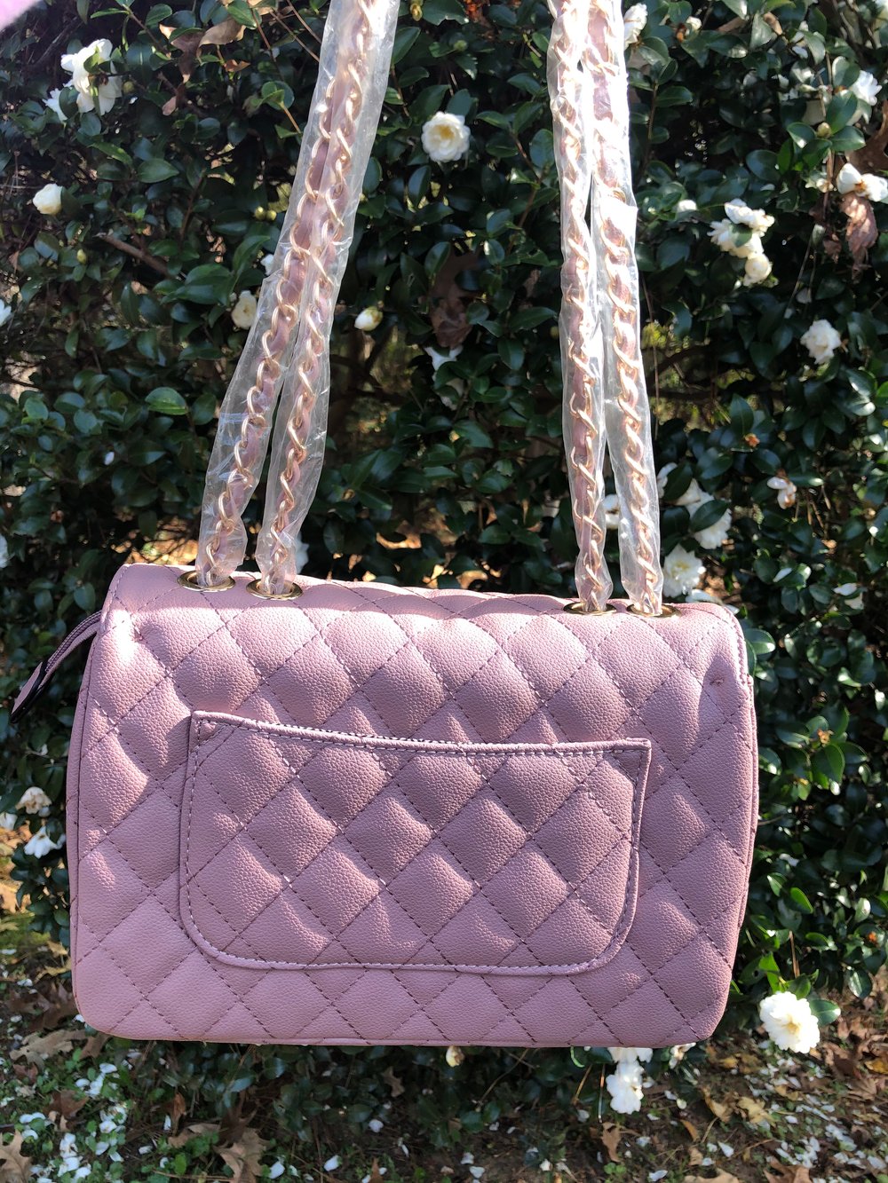 Image of “EXtra EXtra” Lengthy Lady Bag (Dainty🌸)