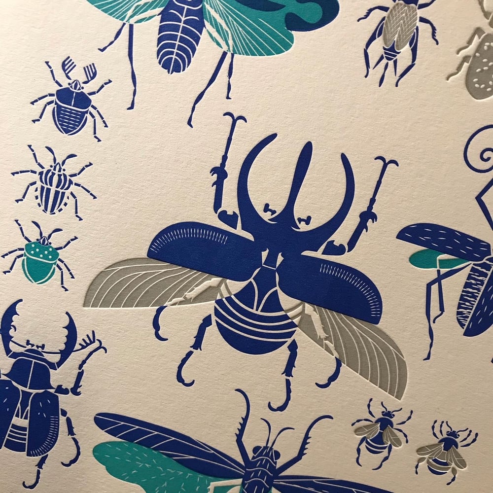 Image of Planche d’Insectes Typo