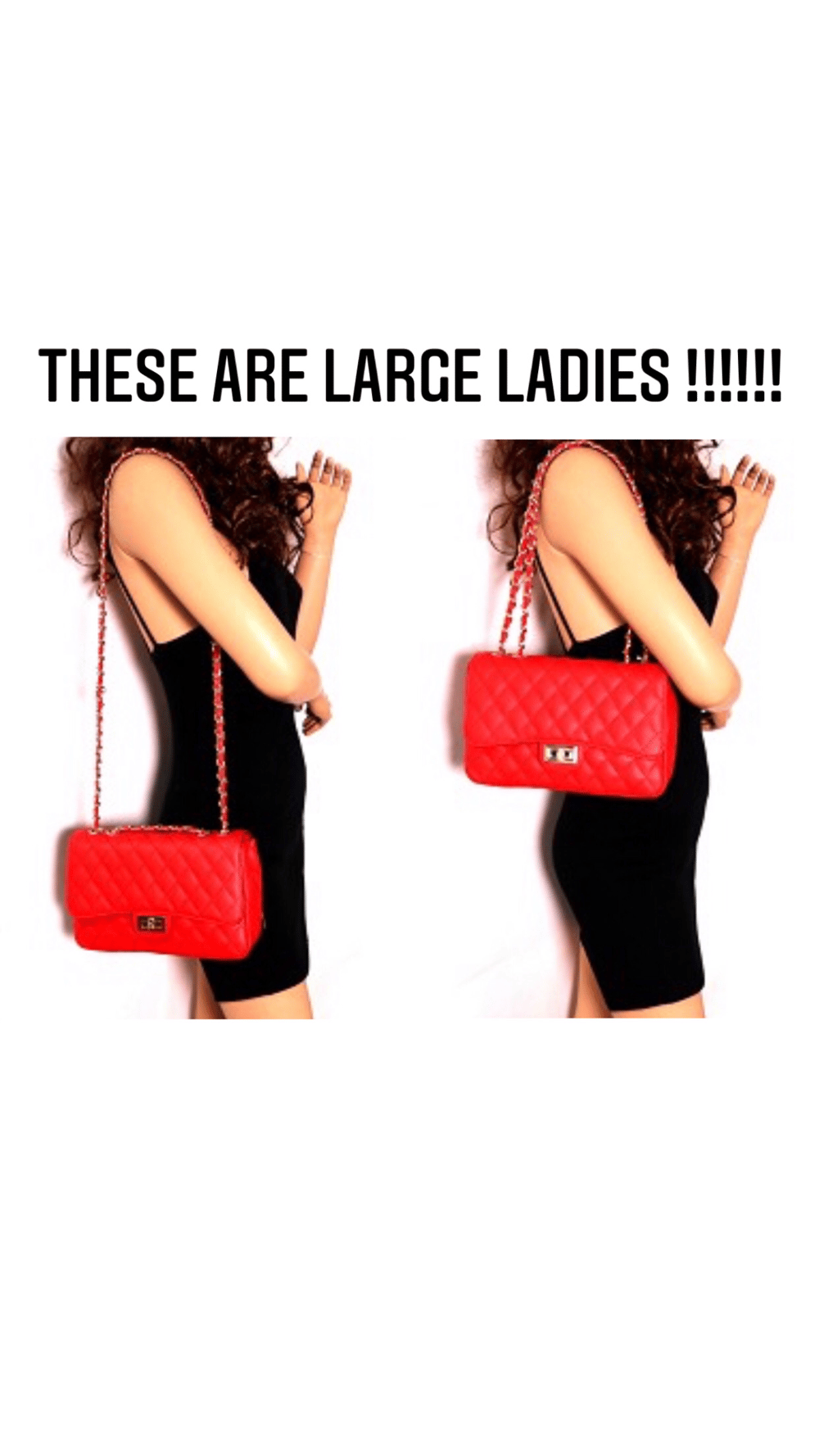 Image of “EXtra EXtra” Lengthy Lady Bag (Autumn🍂)