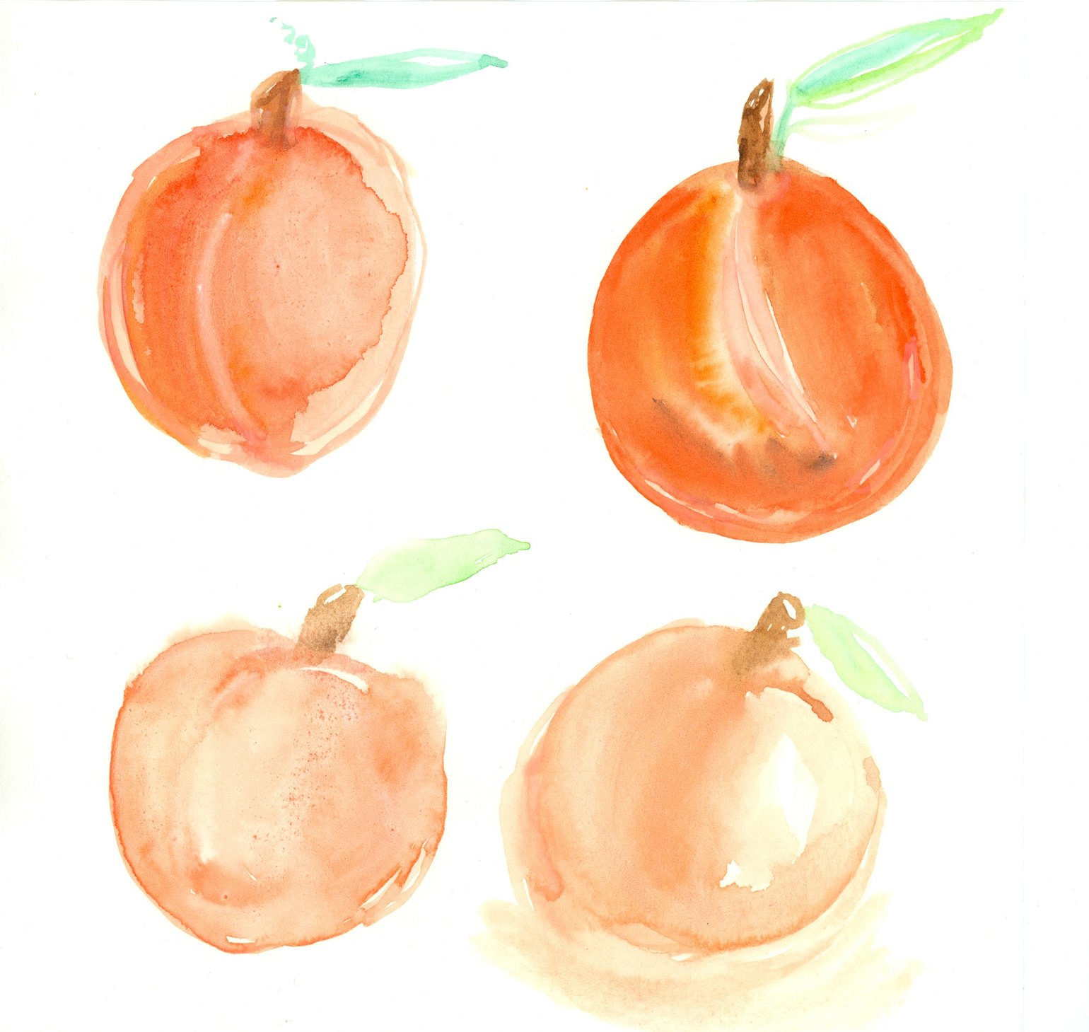 Image of Maryhill Peaches