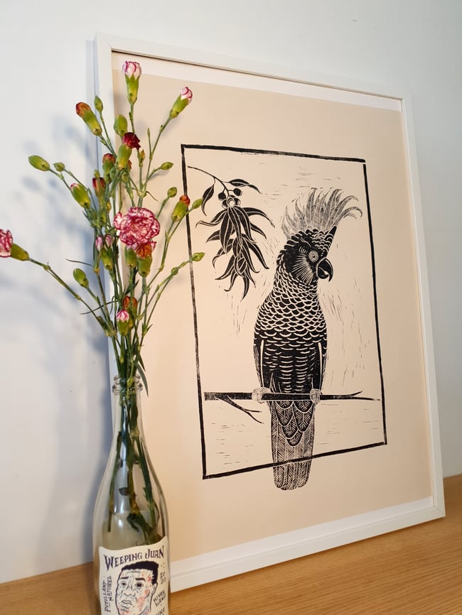 Sulphur-Crested Cockatoo