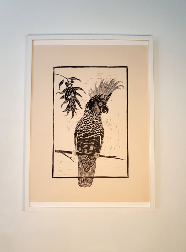 Sulphur-Crested Cockatoo