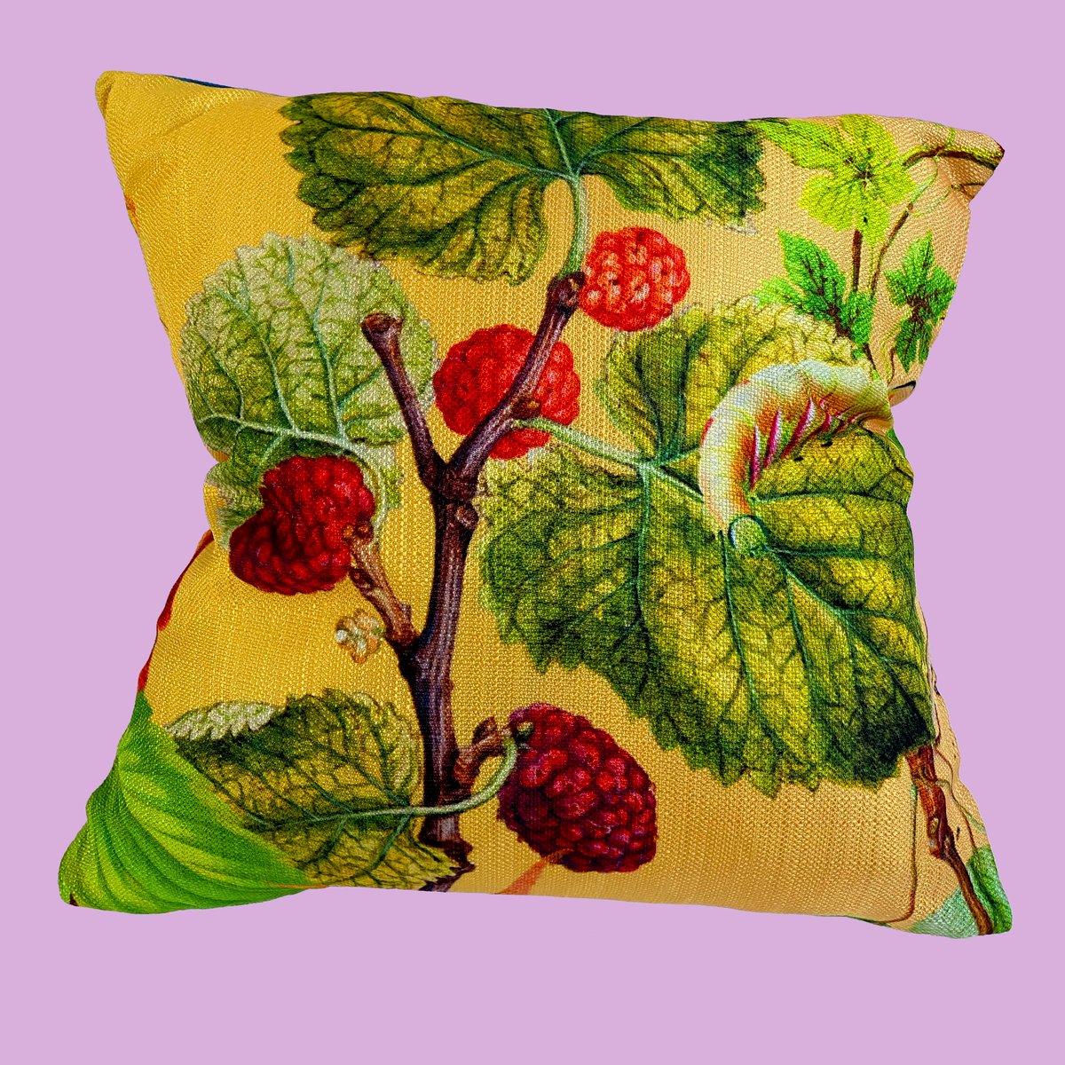 peach fruit throw pillow